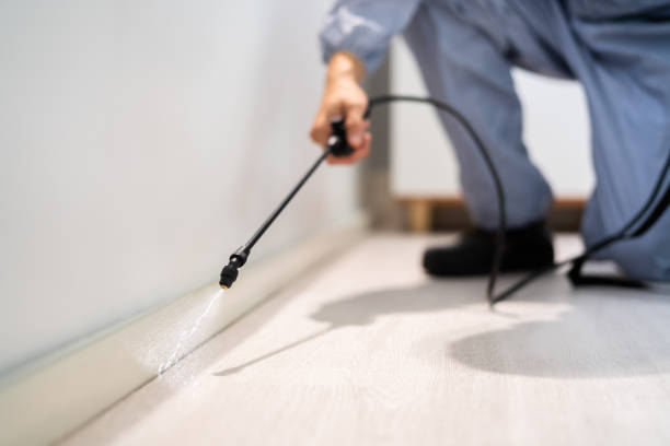 Licensed Termite Control service in Johnsburg, IL - Nex Pest Control