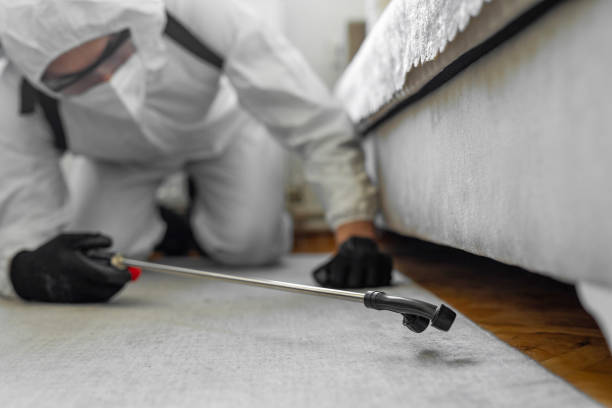 Professional Termite Control technician working in Johnsburg, IL