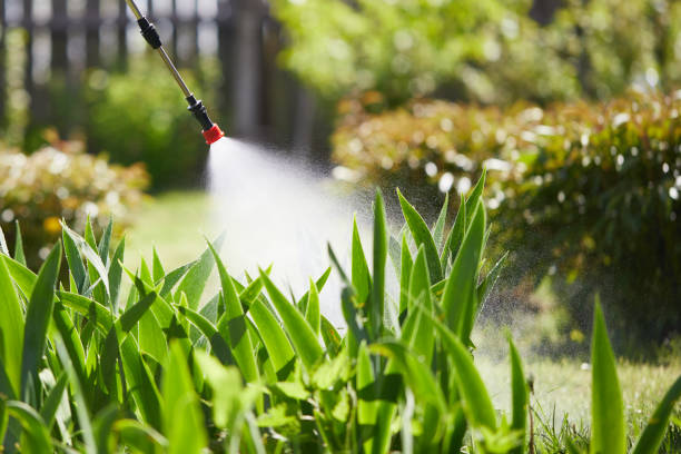 24/7 Emergency Termite Control experts in Johnsburg, IL