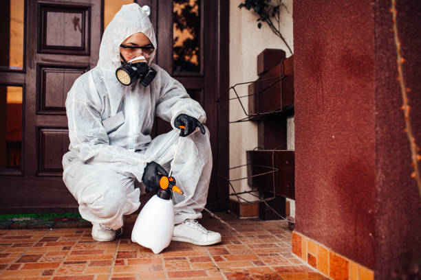 Reliable Termite Control contractor in Johnsburg, IL by Nex Pest Control