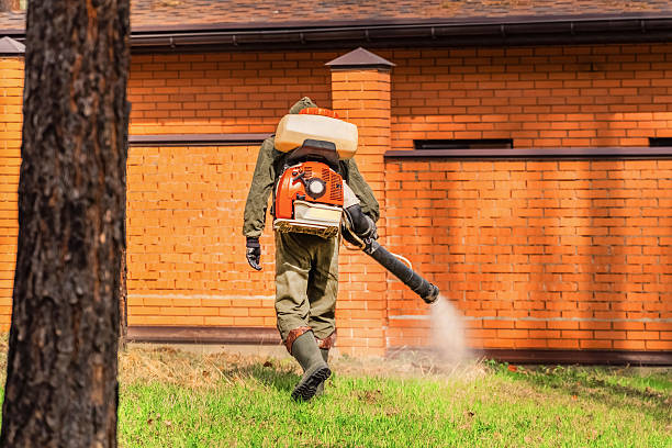 Top rated local Termite Control specialists in Johnsburg, IL